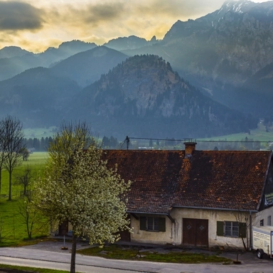 Roadside Building