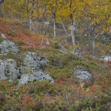 20230907-IMG_1781_USB_dualiso_1920_piwigo.jpg