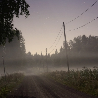 Foggy Road