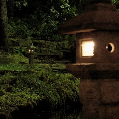 Forest Lanterns