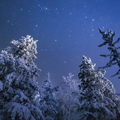 Winter Night