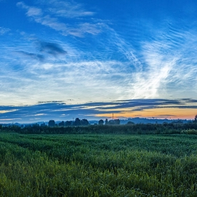 Noctilucent Fields