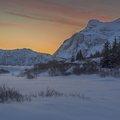 Winter Evening