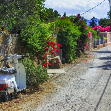 Side Street