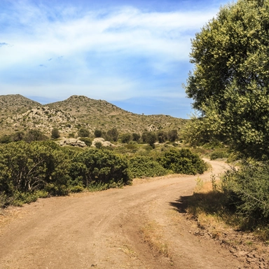 Dry Road