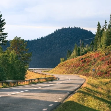 Lapland Road